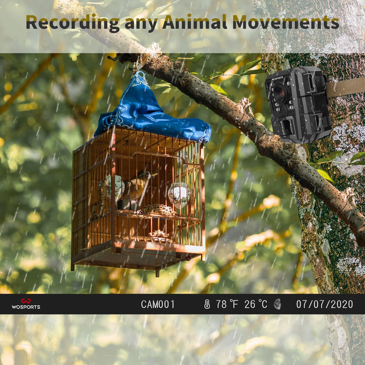 Mini Trail Camera 24MP 1080P Waterproof Infrared S868913