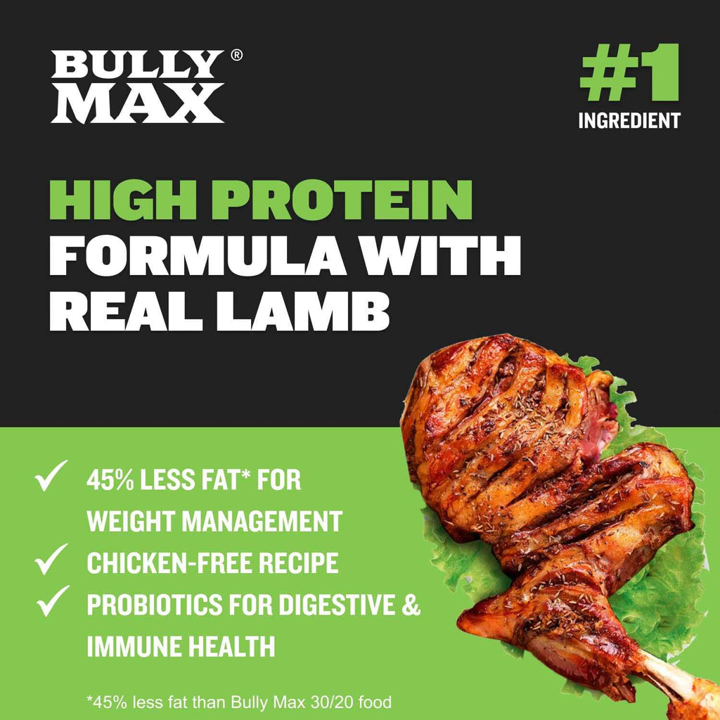 High Protein Low Fat Chicken-Free Lamb Flavor Dog Food B695380
