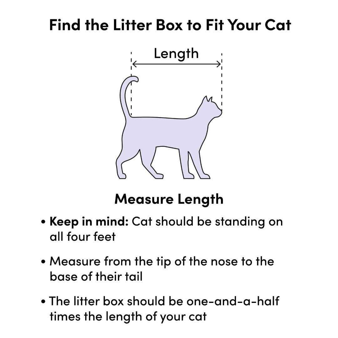 Large Rimmed Litter Pan G4335