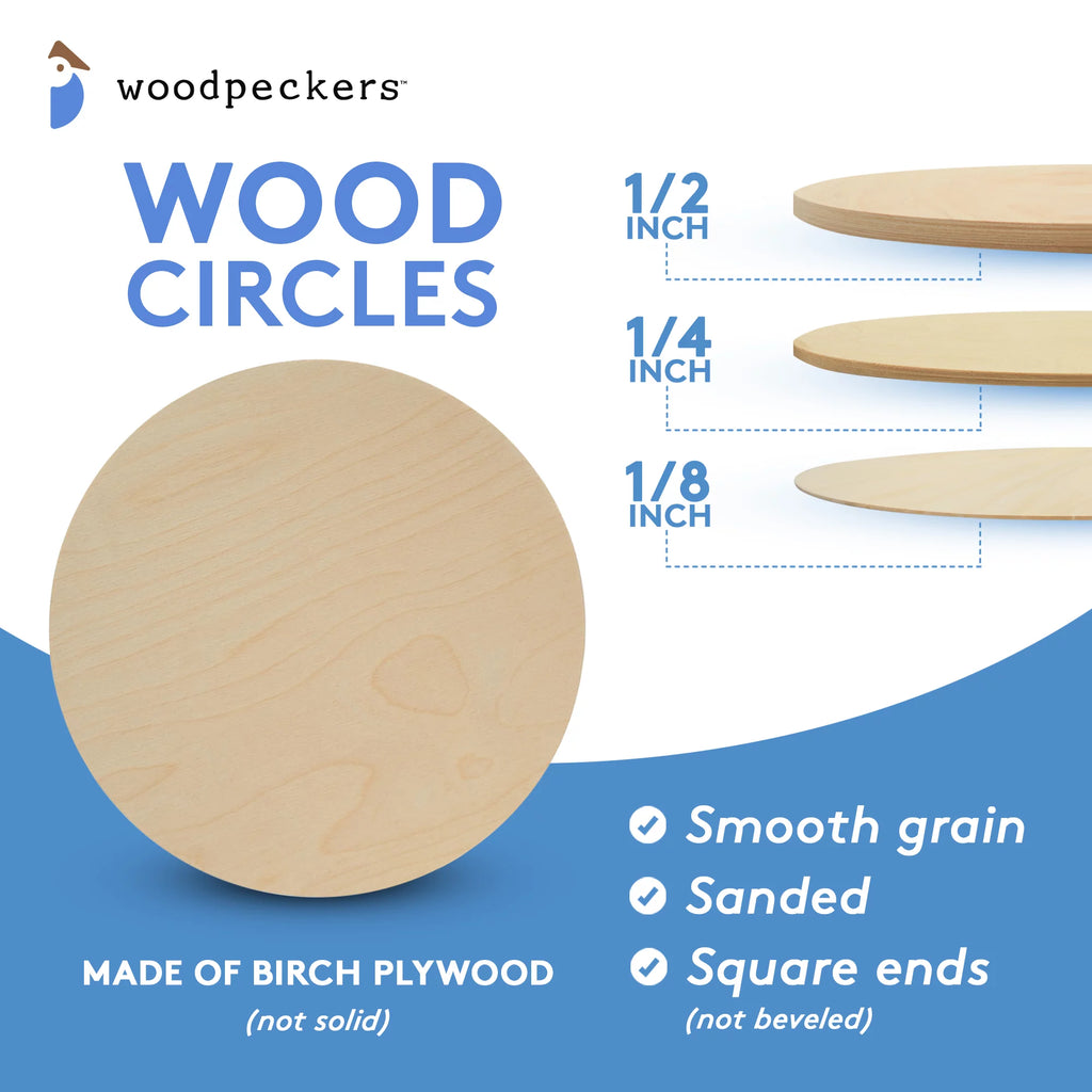 14 inch Unfinished Birch Wood Circles Pack of 10 A47178
