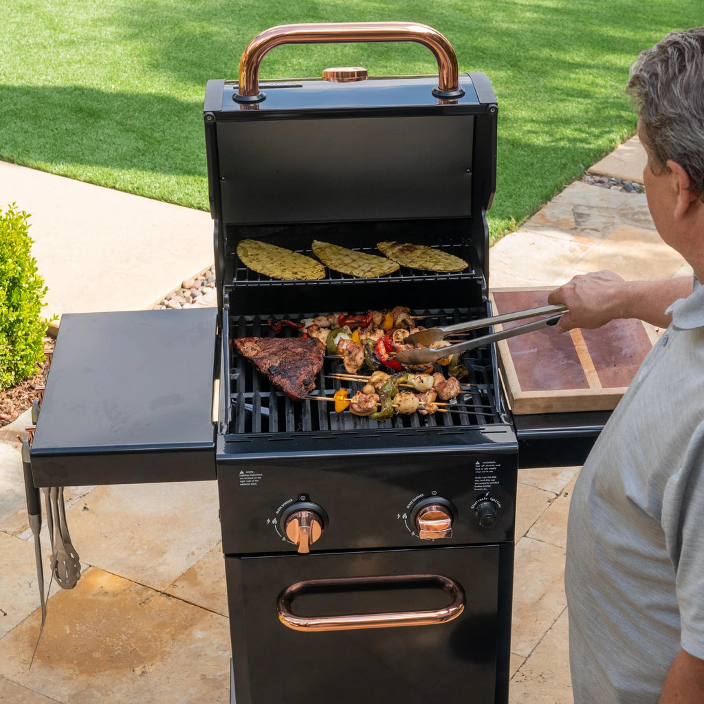Black 2-Burner Compact Propane Gas Grill with Foldable Sides Q3352