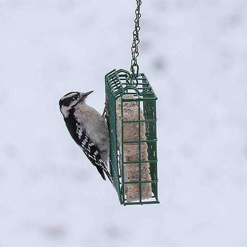 High Energy Suet F9598