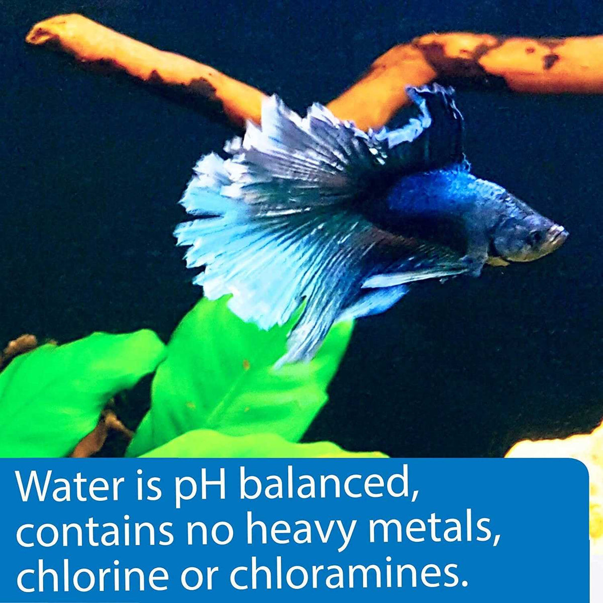 Betta Water N377