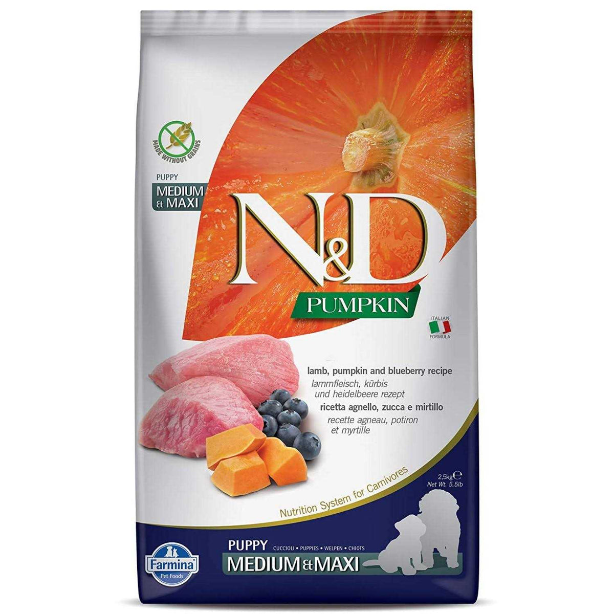 Pumpkin Lamb & Blueberry Puppy Dry Dog Food F1413
