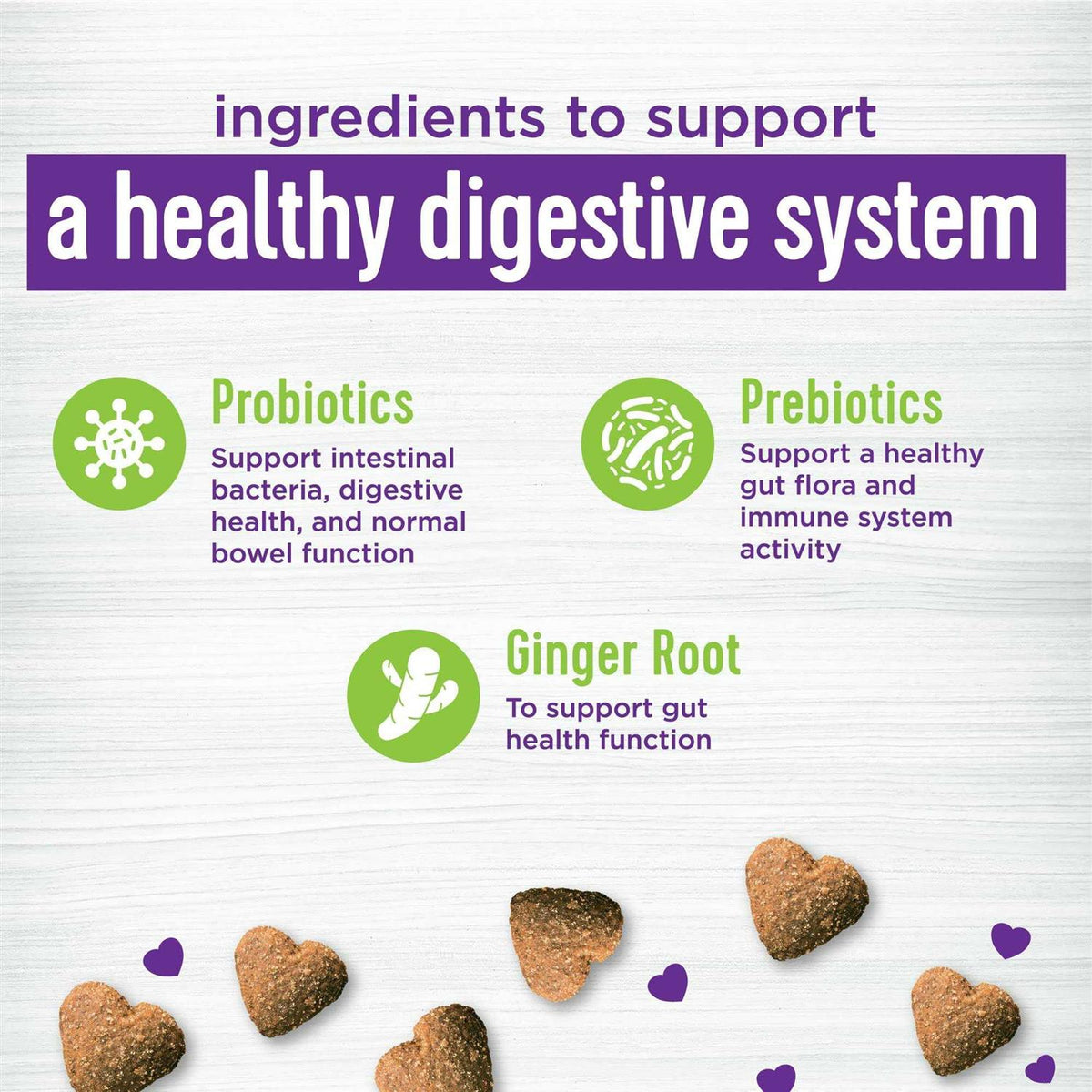 Pumpkin Flavored Soft Chew Digestive Health Supplements for Dogs G616209