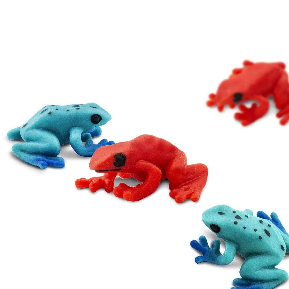 Poison Dart Frogs D8058