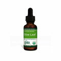 Olive Leaf 1 oz A8839