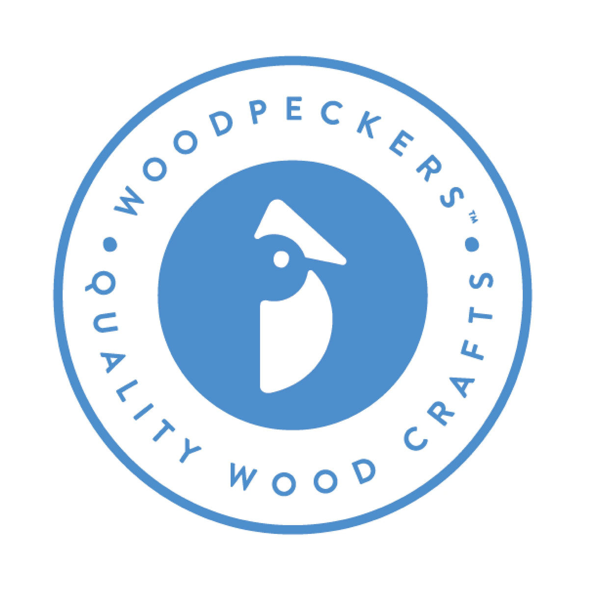 14 inch Unfinished Birch Wood Circles Pack of 10 A47178