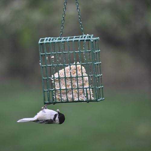High Energy Suet F9598