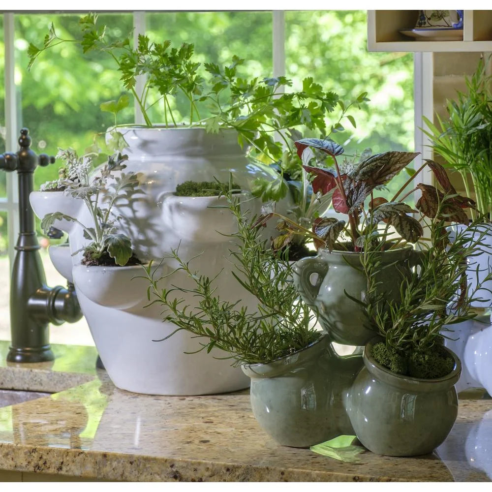8 Pocket Ceramic Strawberry Planter in White V97384