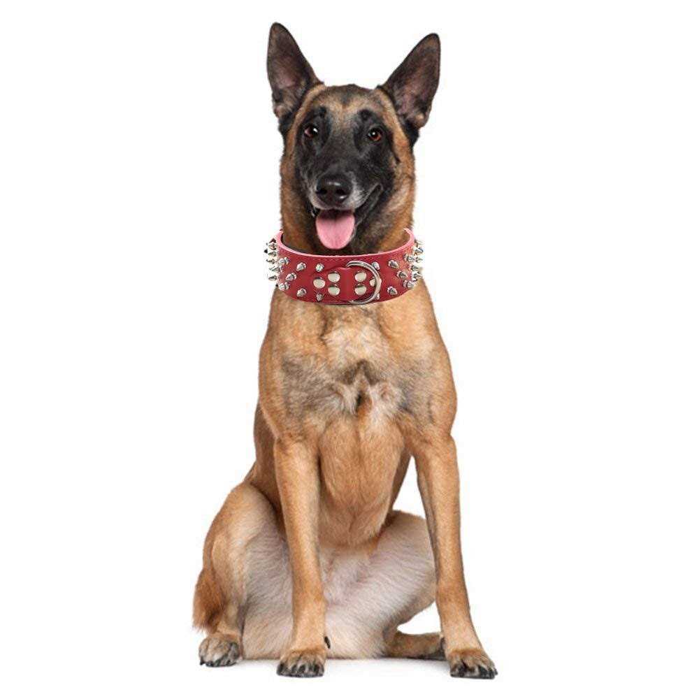 Leather Spiked Studded Dog Collar Y69695