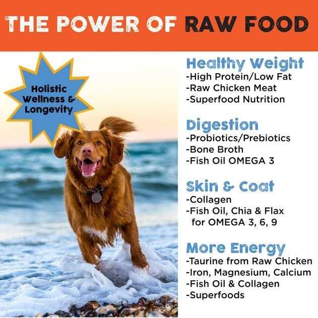 Freeze Dried Dog Food G813507