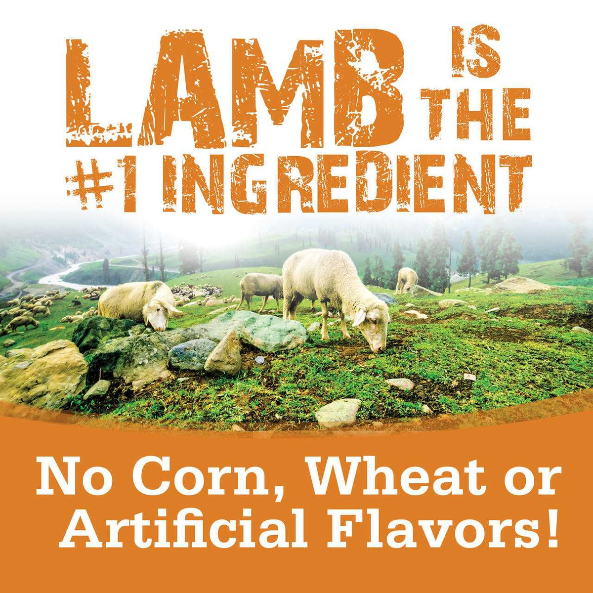 Lamb Dog Treats I6067