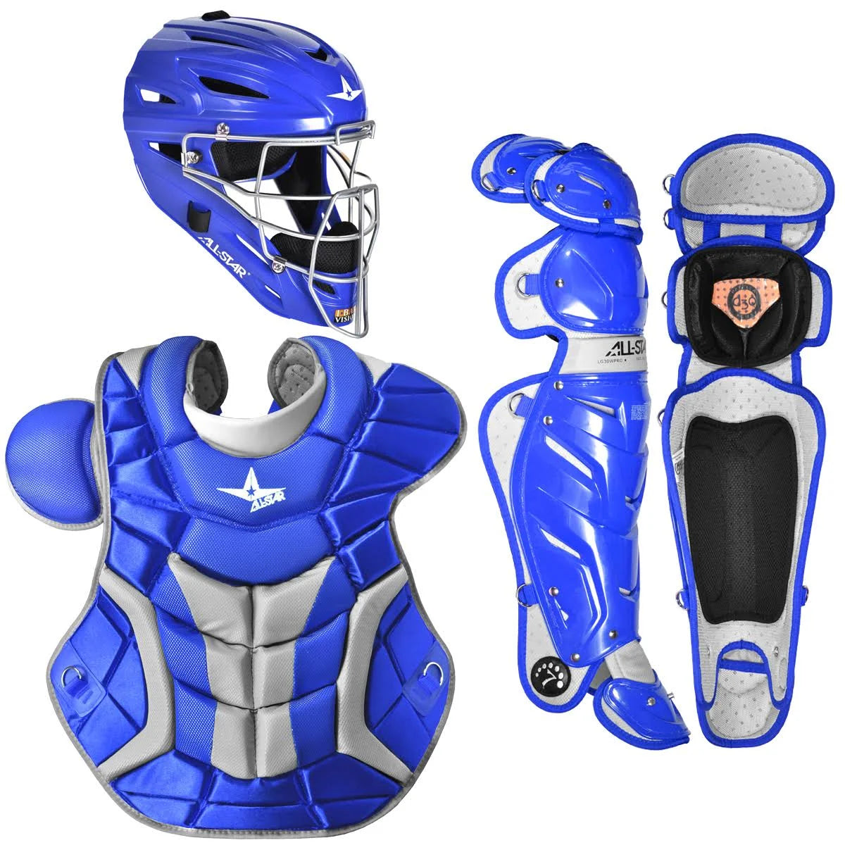 Adult Pro Catcher's Kit D500