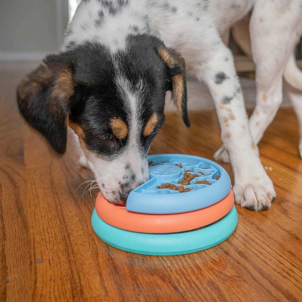 Dog Puzzle Game X7851