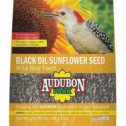 Black Oil Sunflower Seed Wild Bird Food P938492