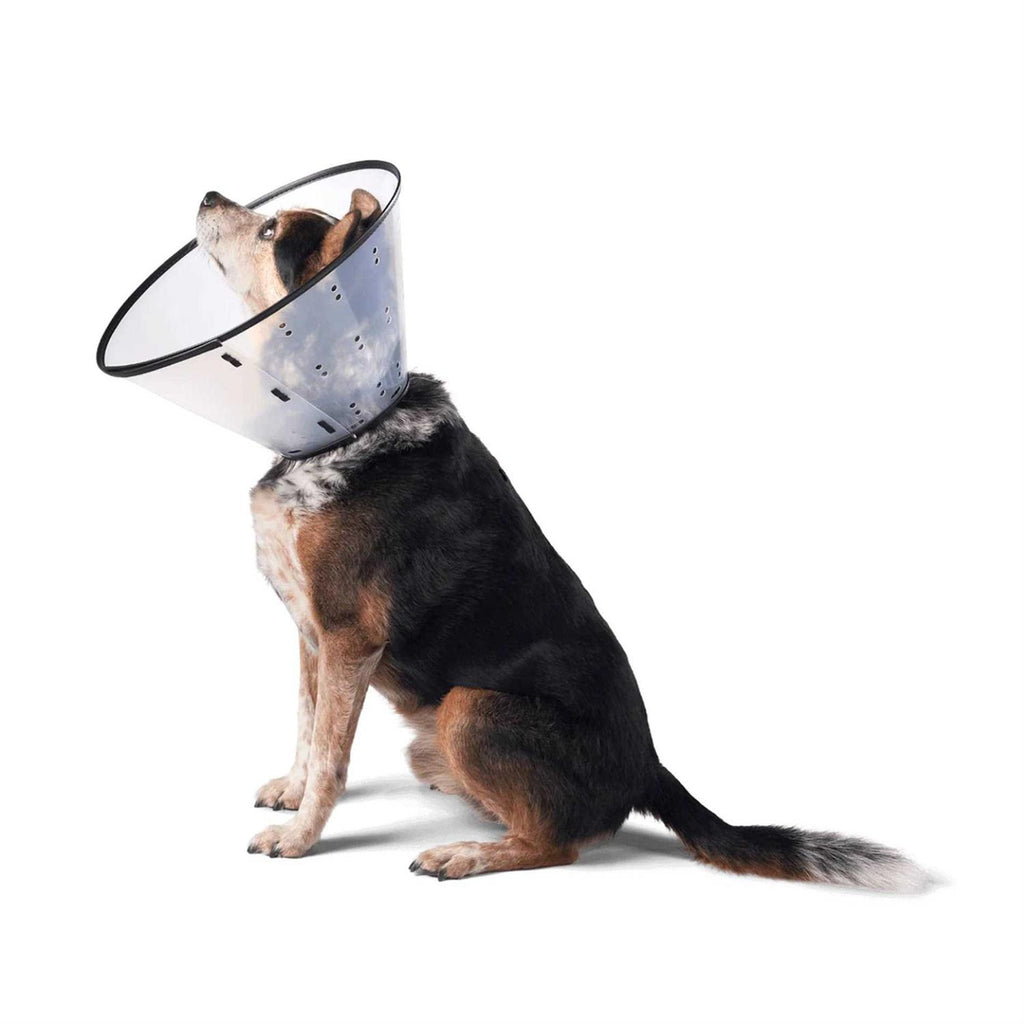 Dogswell E-Collar G5849