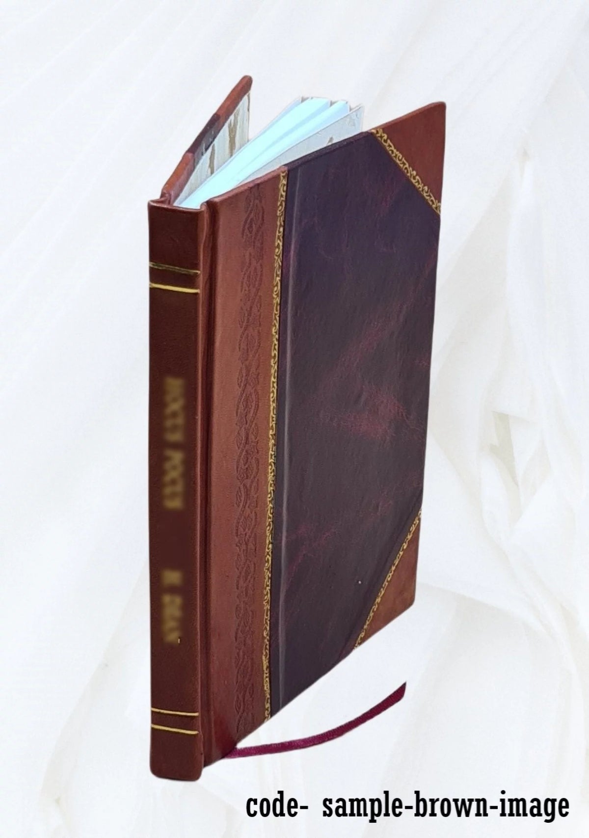 PCBs in Food Environmental Impact Statement Leather Bound J58546