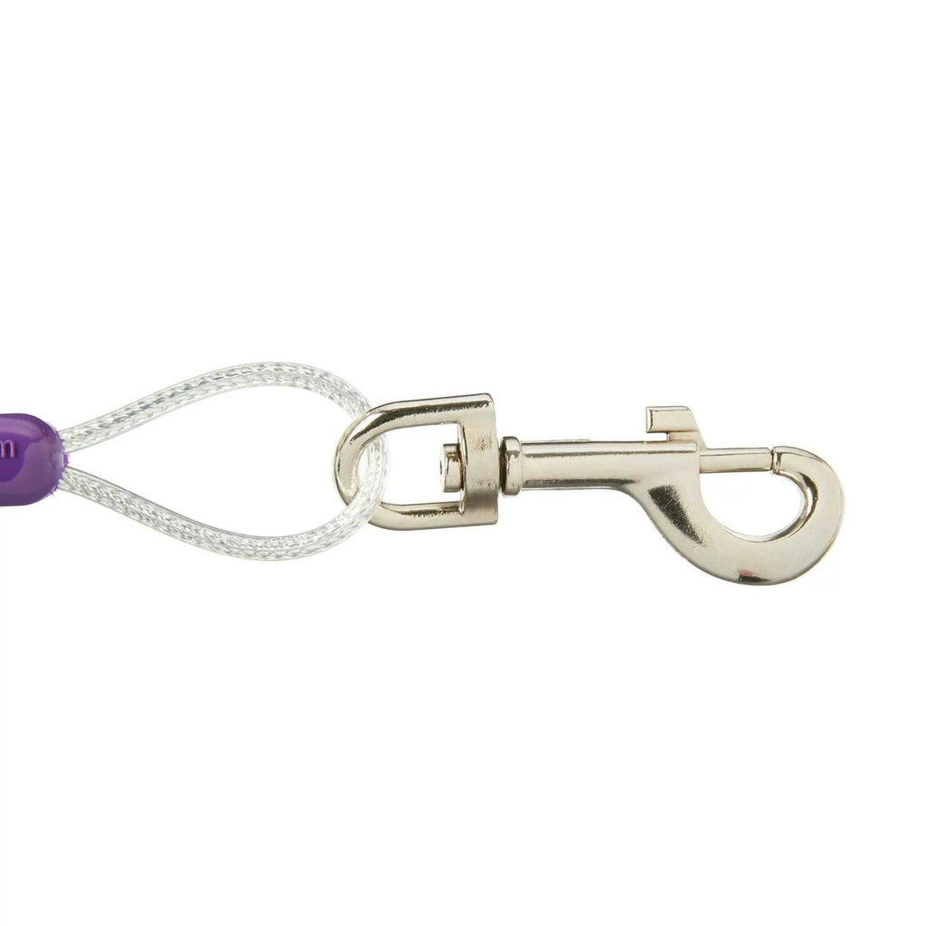 Reflective Vinyl-Covered Tie-Out for Dogs Y9130