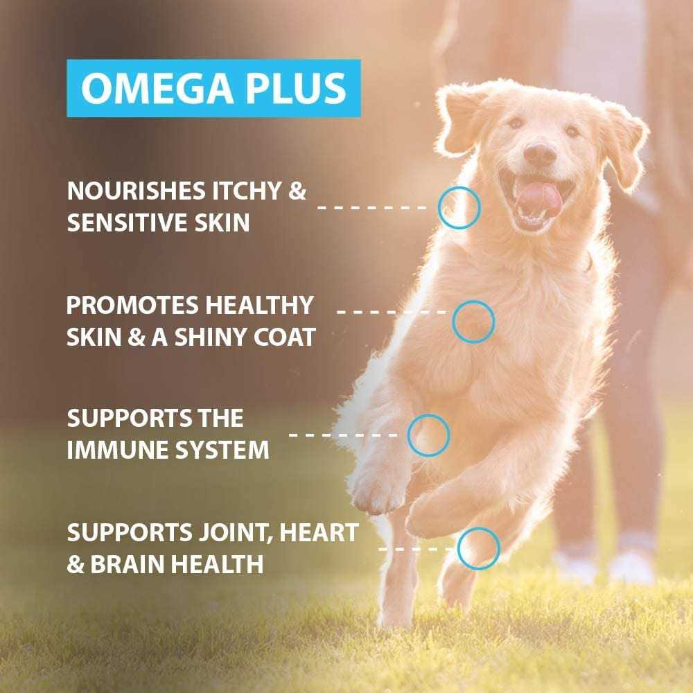 Fish Oil Supplement for Dogs K859444