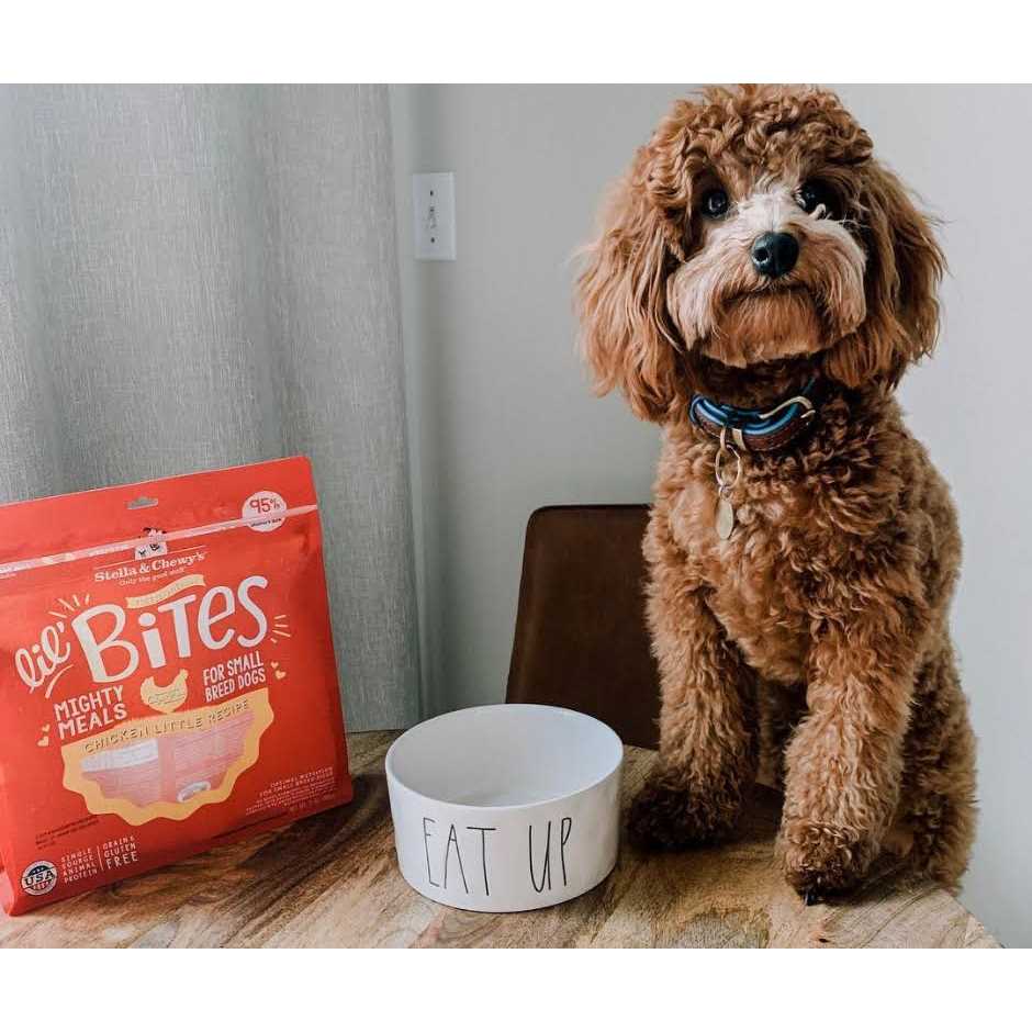 Freeze Dried Dog Food O858