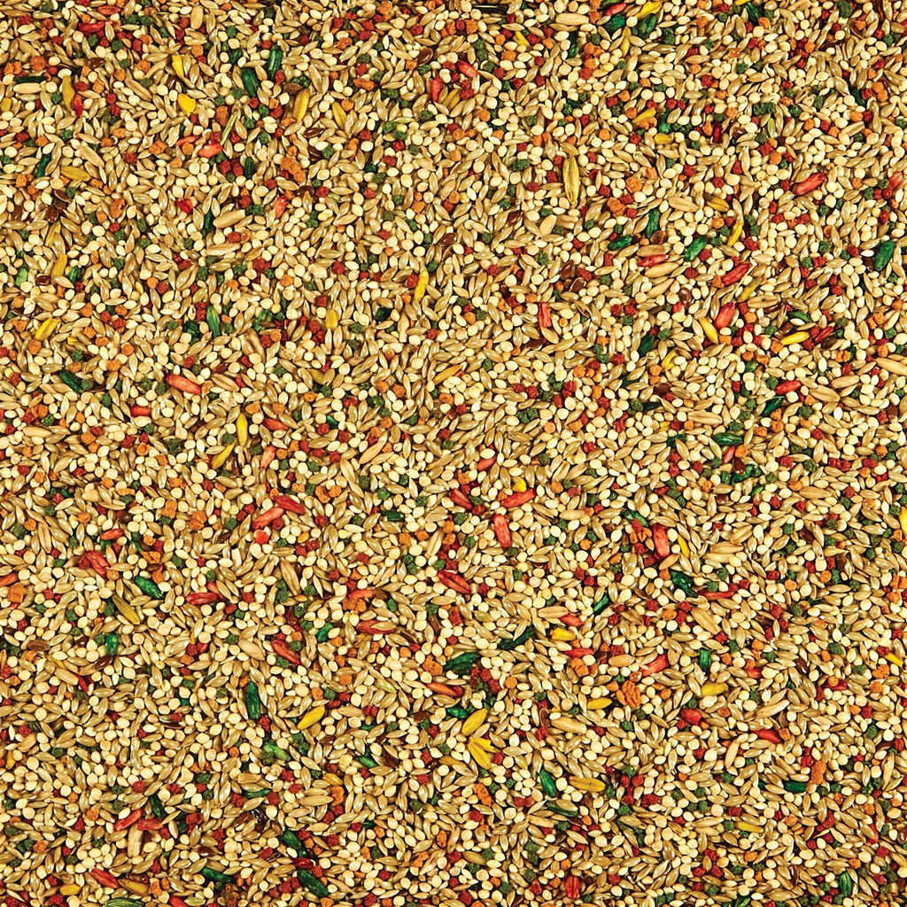 Parakeet Food J423