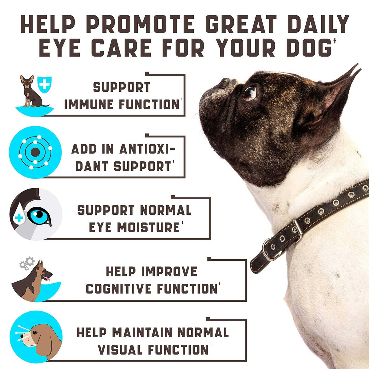 Dog Eye Vitamins Supplement Y63819