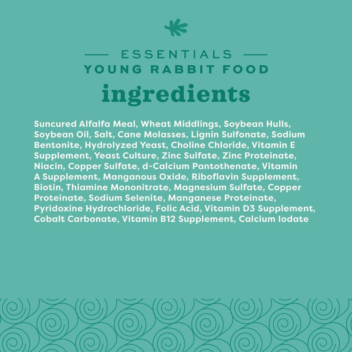 Rabbit Food N292