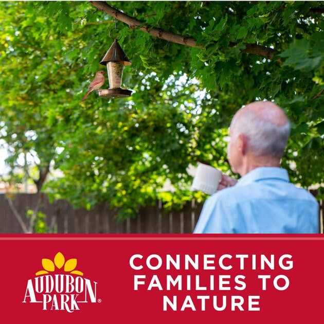 Cardinal Blend Wild Bird Food B298844