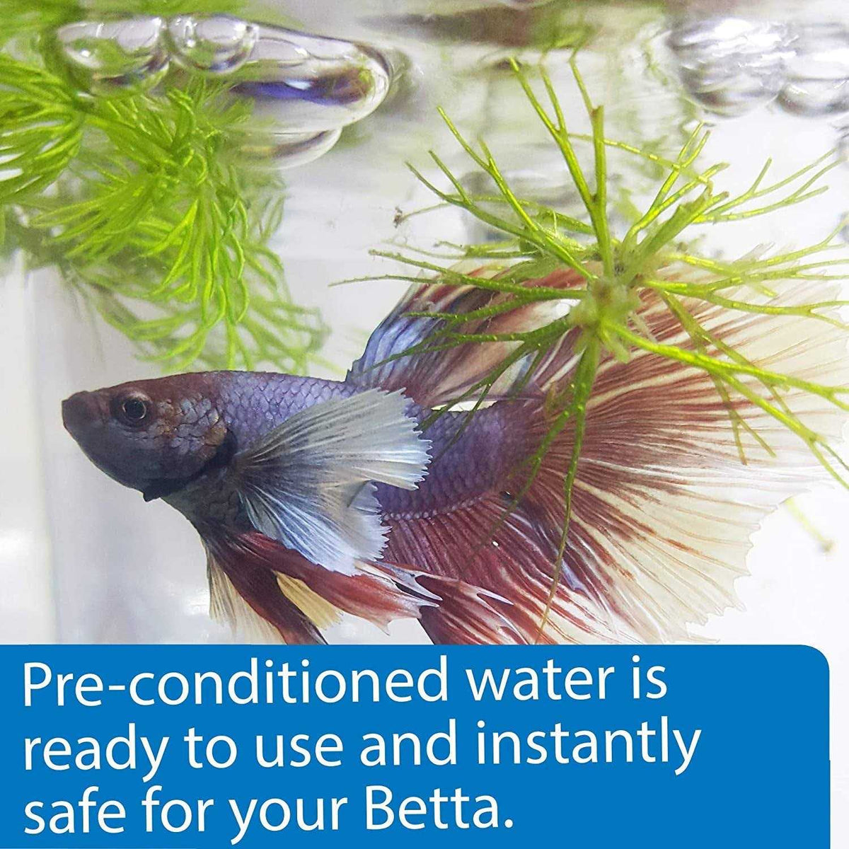 Betta Water N377