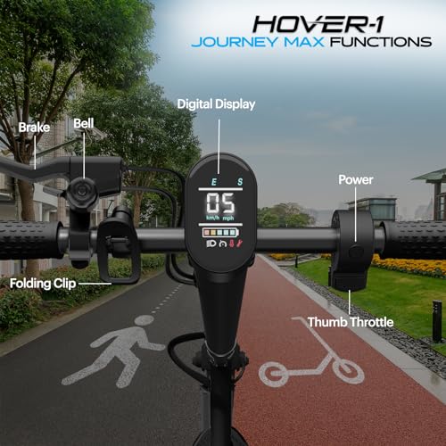 Electric Scooter with 700W Brushless Dual Motor R744