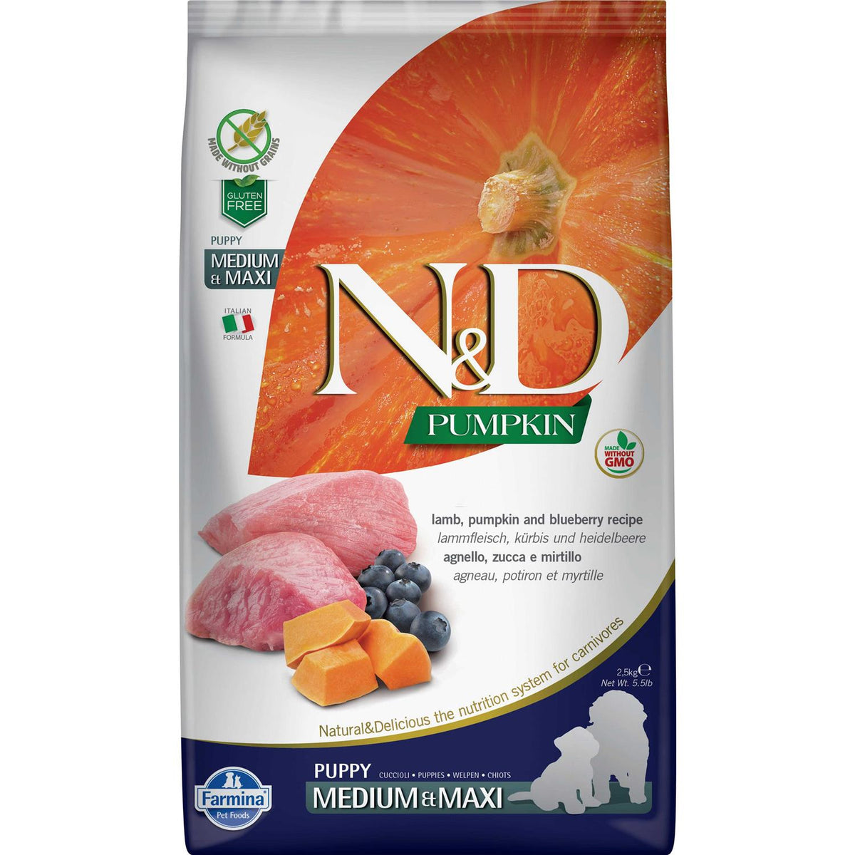 Pumpkin Lamb & Blueberry Puppy Dry Dog Food F1413