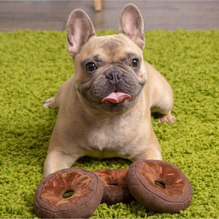 Donut Squeaky Plush Dog Toy S5623