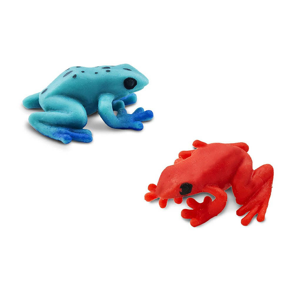 Poison Dart Frogs D8058