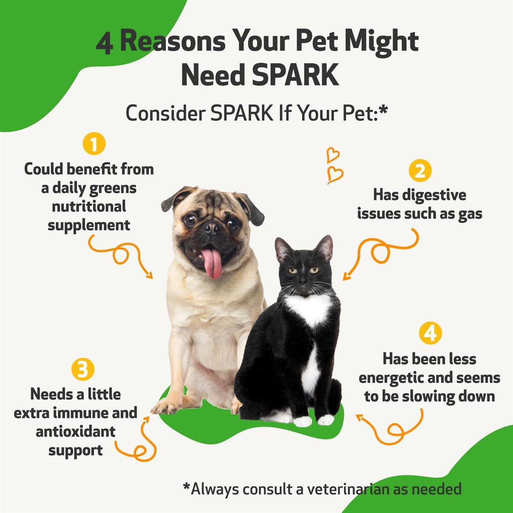 Daily Nutritional Supplement for Dogs and Cats P920