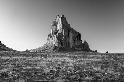 8" x 12" Black and White Wall Art Print L407400