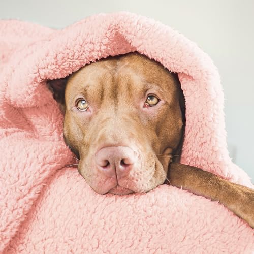 Grey Washable Sherpa Fleece Dog Blanket 24x32 Inches L4481