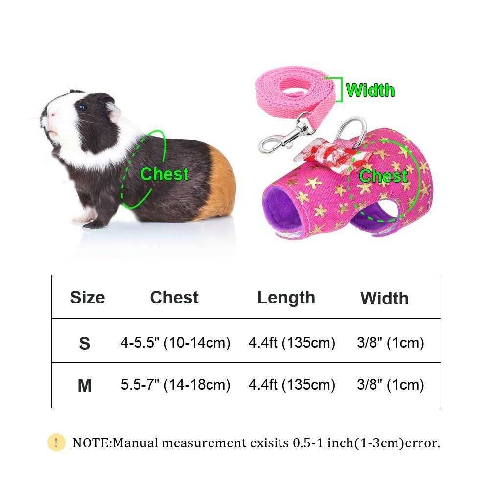 Small Pet Outdoor Walking Harness Vest and Leash Set B561929