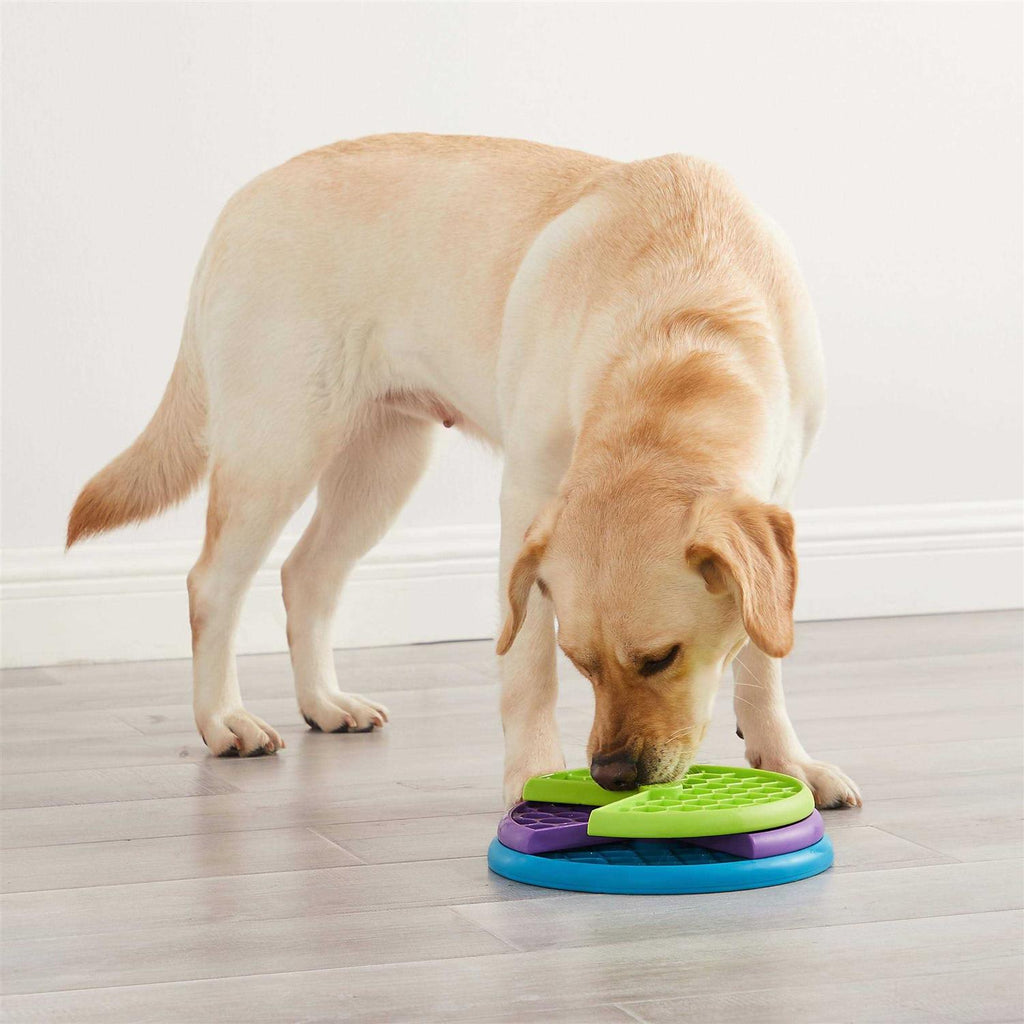 Dog Puzzle Game X7851