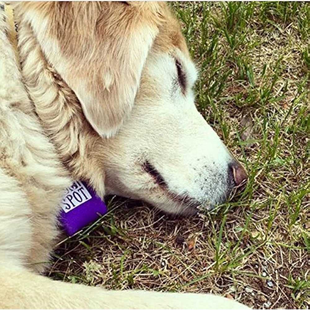 Pet Tag Silencer C1014