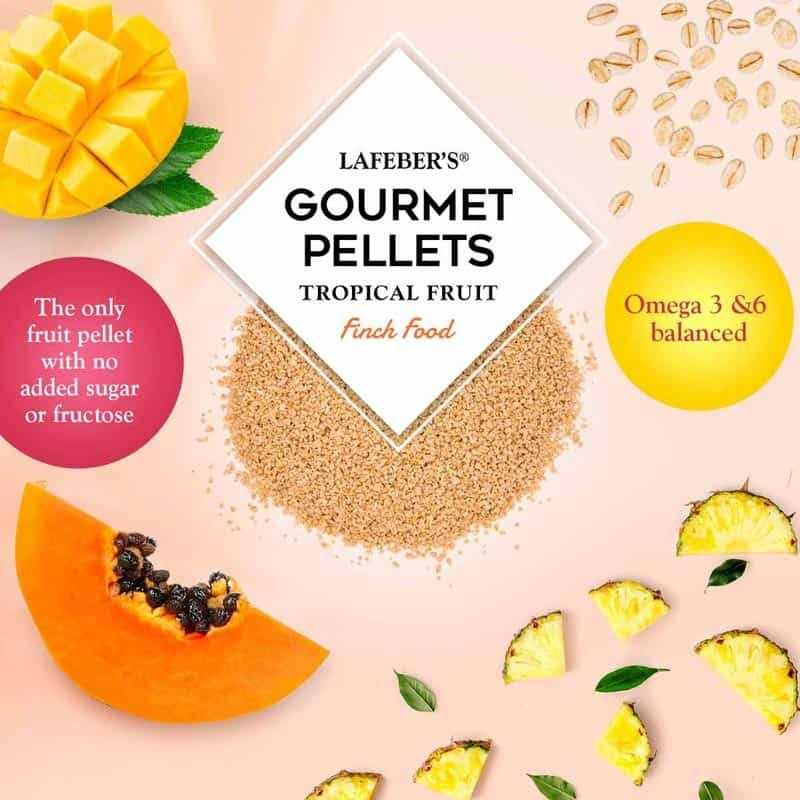 Tropical Fruit Bird Food K26035