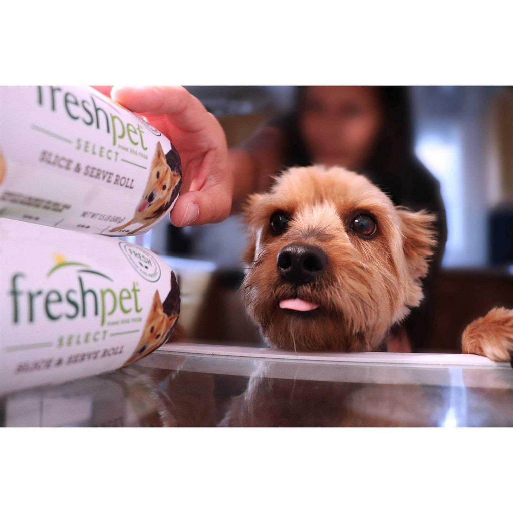 Grain Free Pollock & Salmon Dog Food T7074