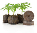 Medium Pellets Case of 2000 W574