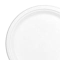 9 White Bagasse Buffet Plates S79538