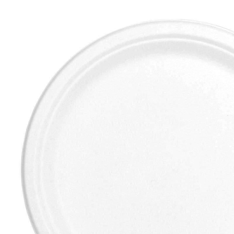 9 White Bagasse Buffet Plates S79538