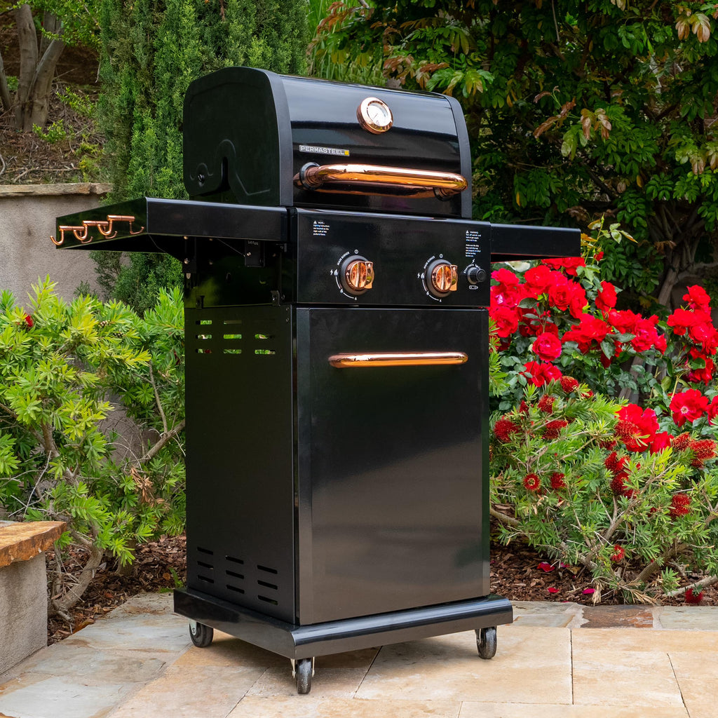 Black 2-Burner Compact Propane Gas Grill with Foldable Sides Q3352
