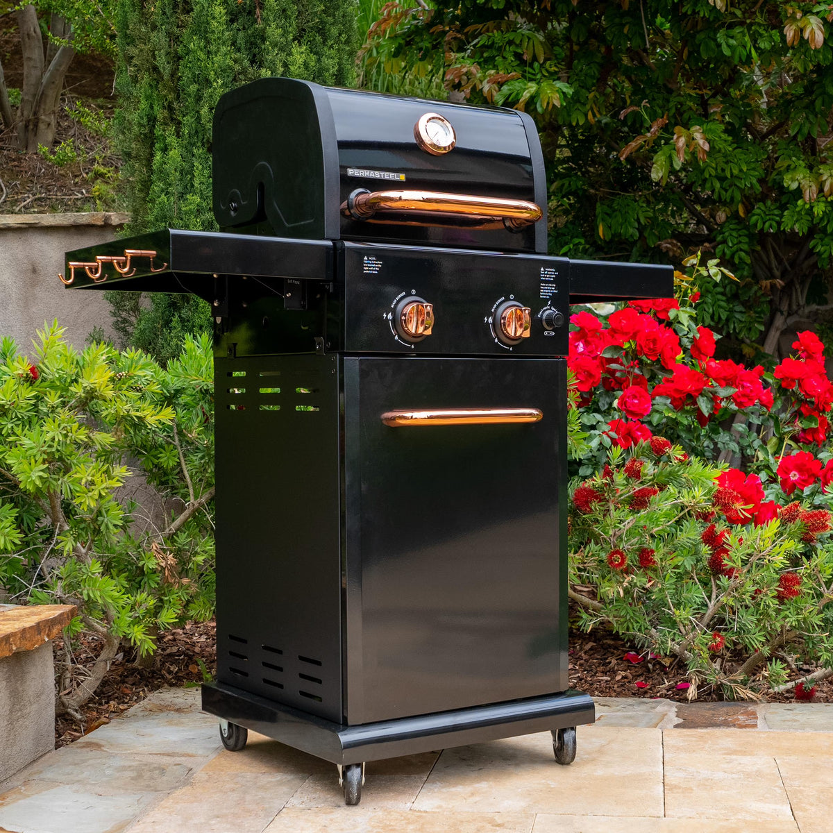 Black 2-Burner Compact Propane Gas Grill with Foldable Sides Q3352