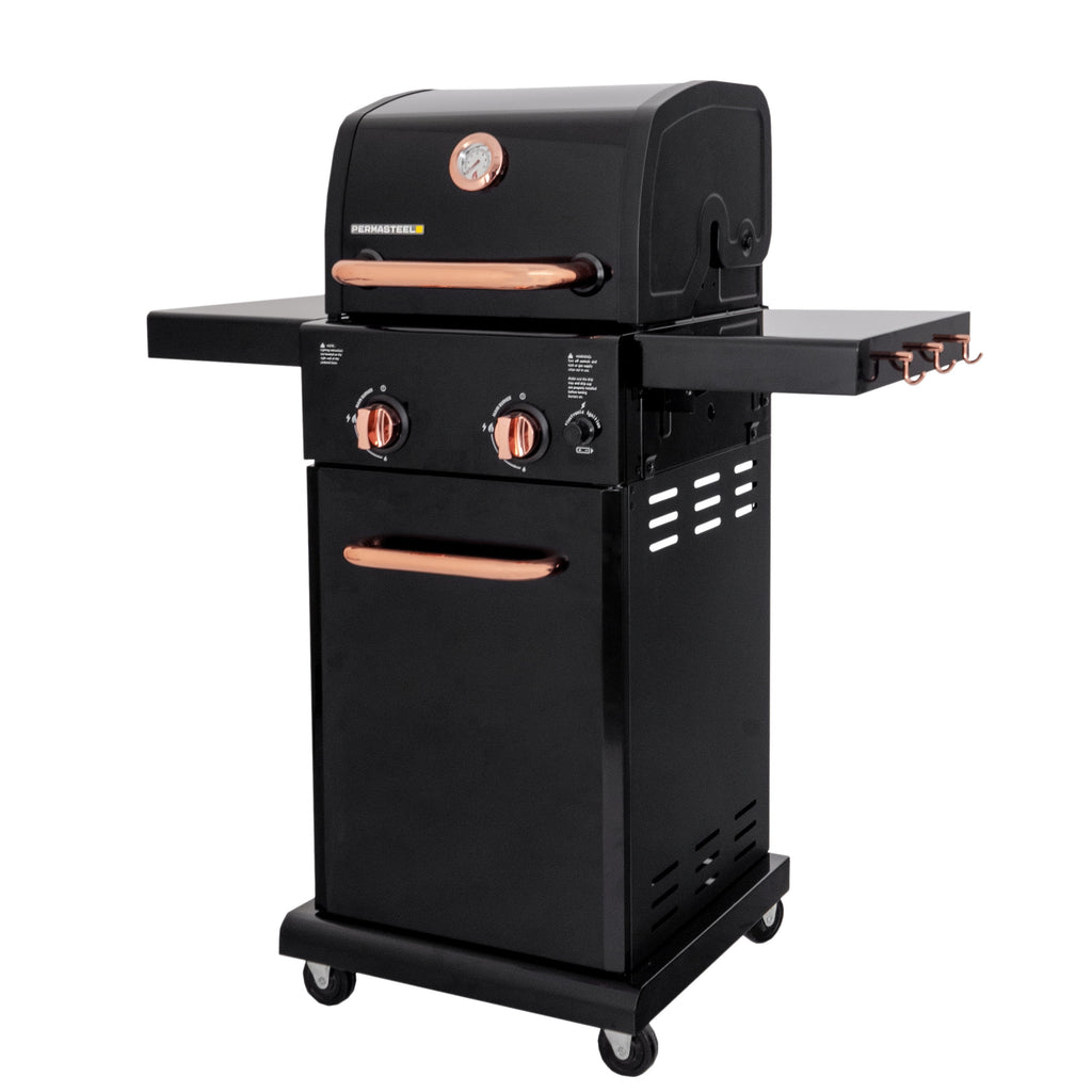 Black 2-Burner Compact Propane Gas Grill with Foldable Sides Q3352