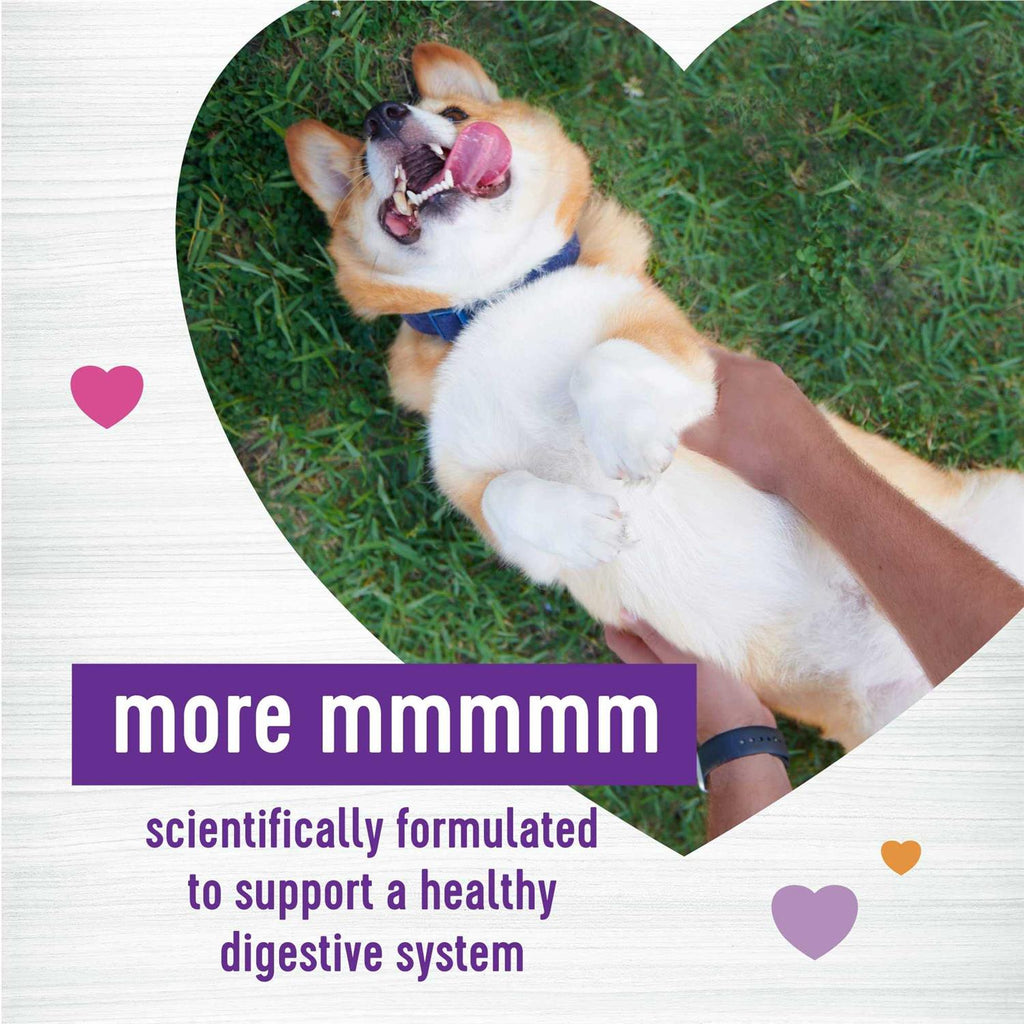 Pumpkin Flavored Soft Chew Digestive Health Supplements for Dogs G616209