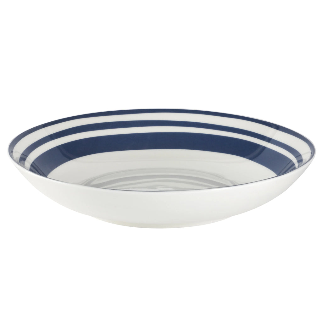 Light Blue 16-Pieces Fine China Dinnerware Set K778